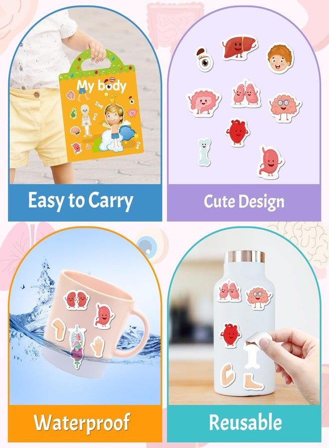 Benresive Reusable Sticker Books for Toddlers, Fun Travel Stickers for Kids, Toddler Sticker Book, Crafts Activities for Toddlers, 3 and Up Birthady Gifts - My Body - Image 5